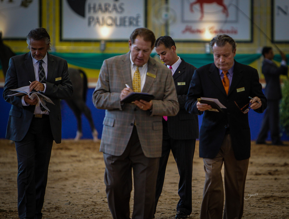 2013 Brazilian Nationals