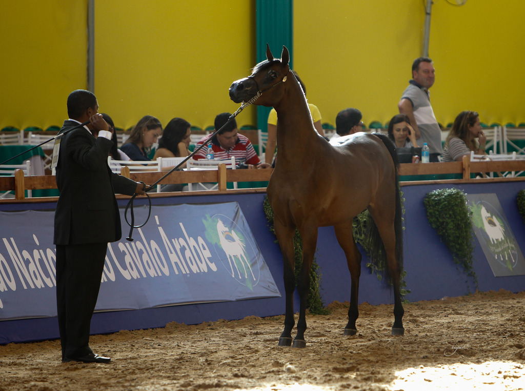 2013 Brazilian Nationals