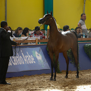 2013 Brazilian Nationals