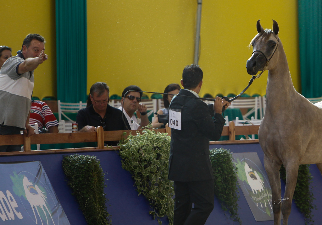 2013 Brazilian Nationals