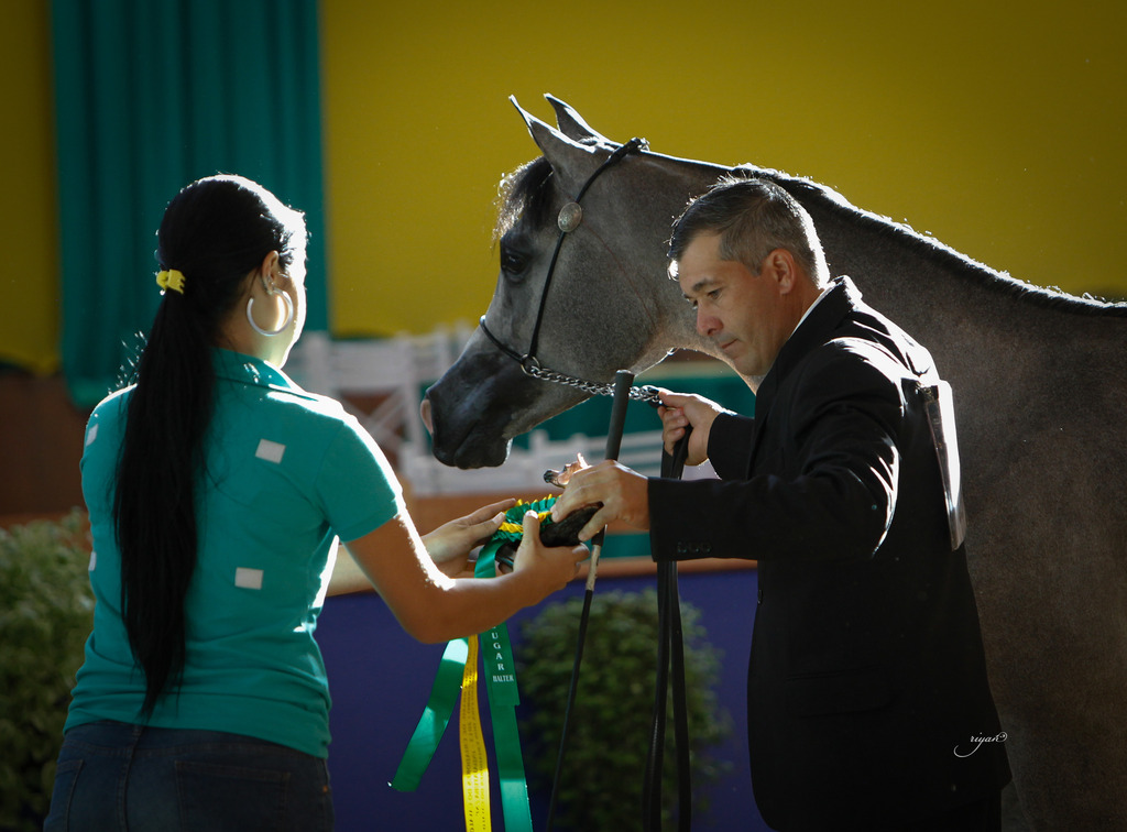 2013 Brazilian Nationals