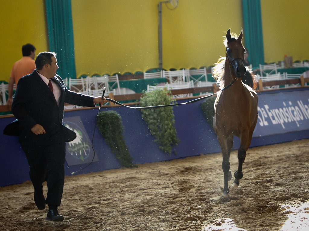 2013 Brazilian Nationals