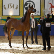 2013 Brazilian Nationals