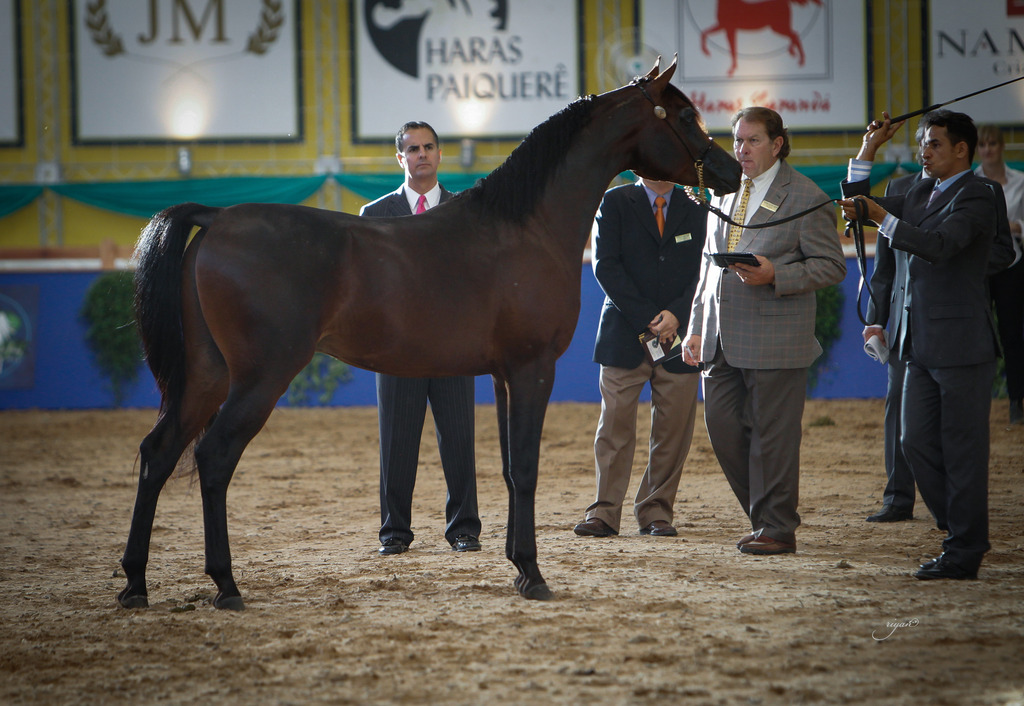 2013 Brazilian Nationals