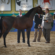 2013 Brazilian Nationals