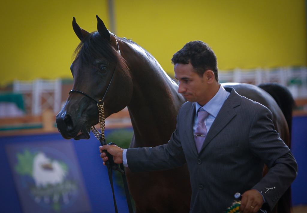 2013 Brazilian Nationals