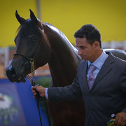 2013 Brazilian Nationals