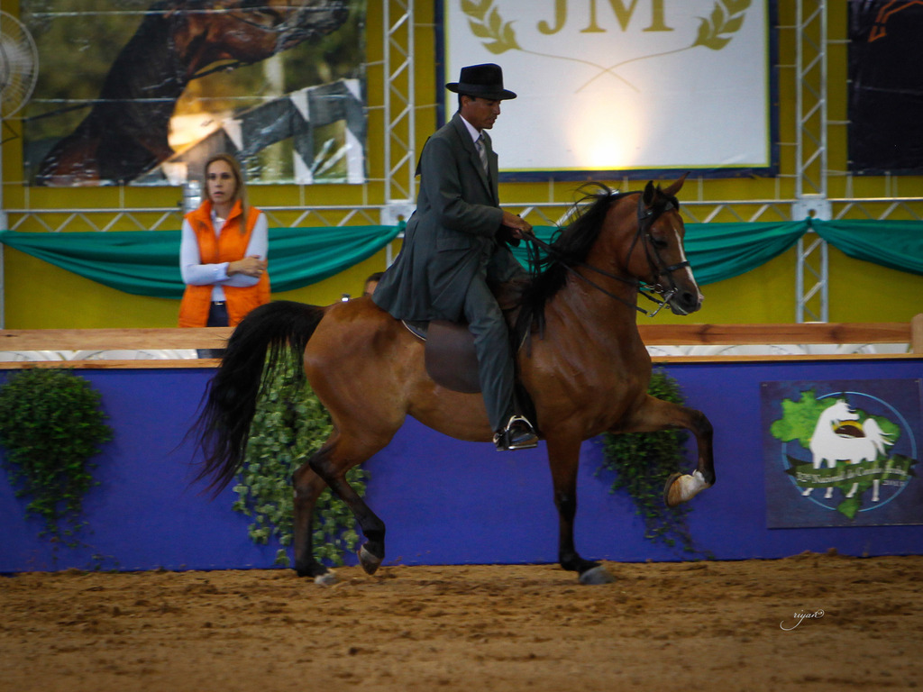 2013 Brazilian Nationals