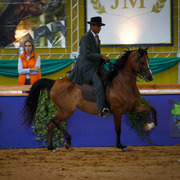 2013 Brazilian Nationals