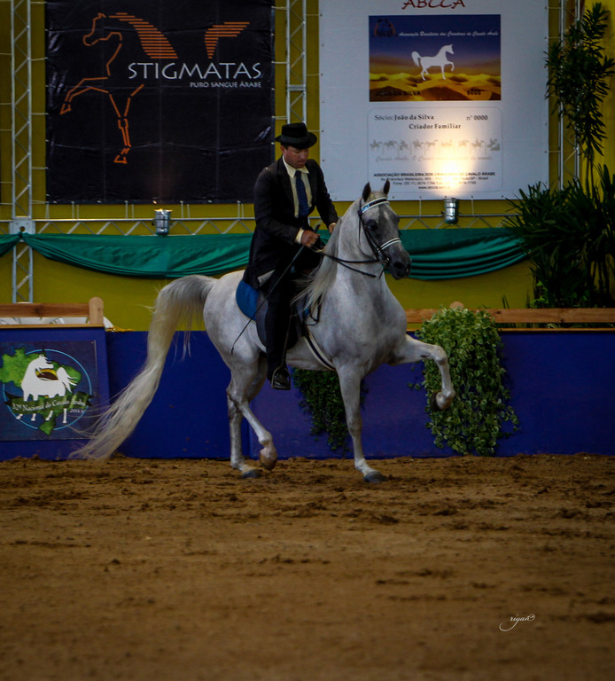 2013 Brazilian Nationals