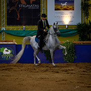 2013 Brazilian Nationals