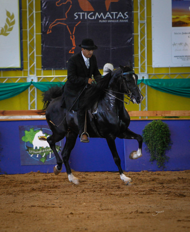 2013 Brazilian Nationals