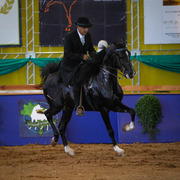 2013 Brazilian Nationals