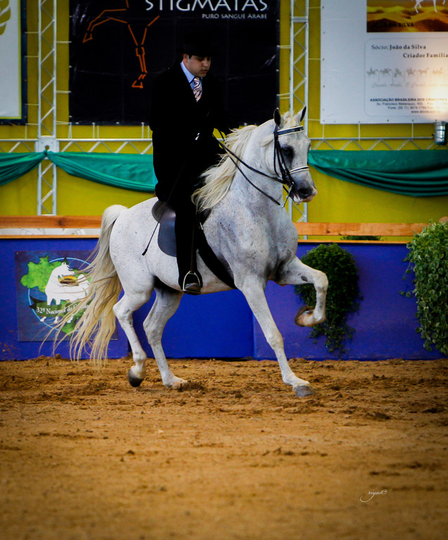 2013 Brazilian Nationals