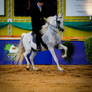 2013 Brazilian Nationals