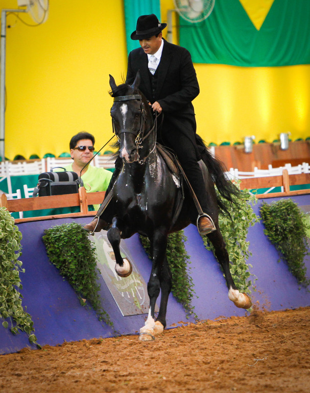 2013 Brazilian Nationals