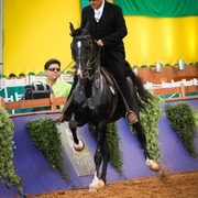 2013 Brazilian Nationals