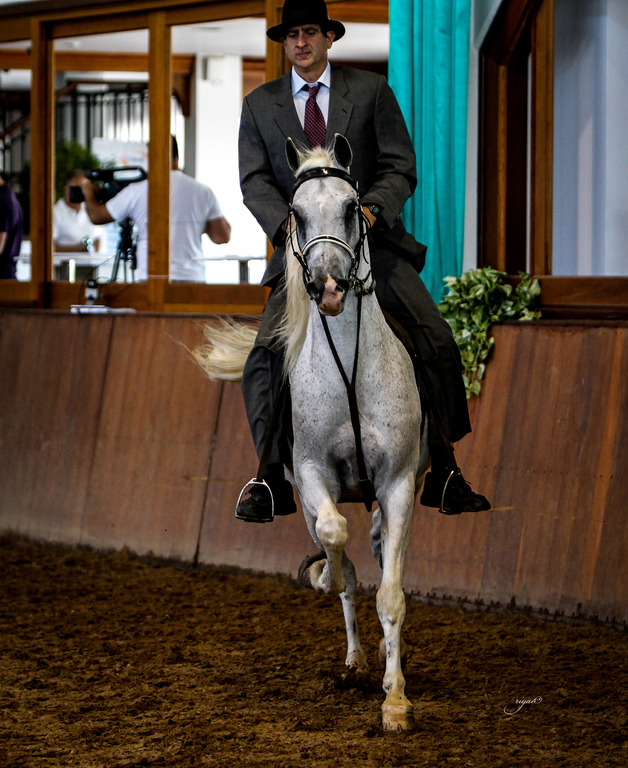 2013 Brazilian Nationals