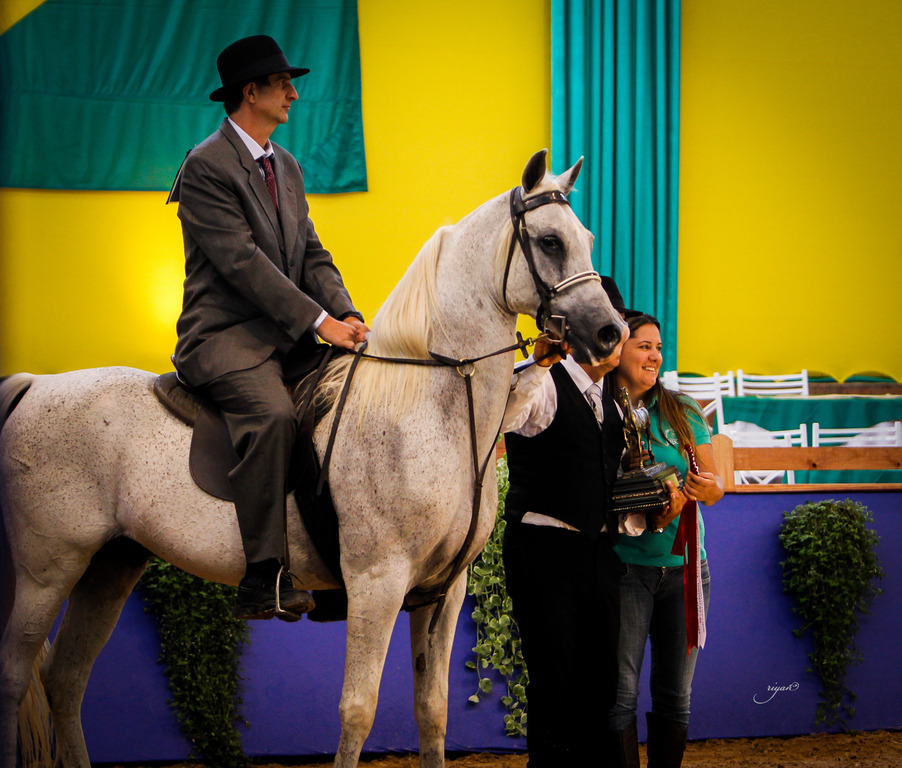 2013 Brazilian Nationals