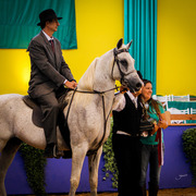 2013 Brazilian Nationals