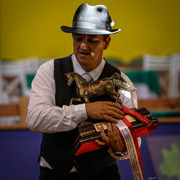 2013 Brazilian Nationals