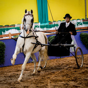 2013 Brazilian Nationals