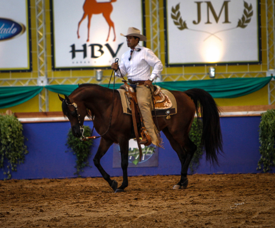 2013 Brazilian Nationals