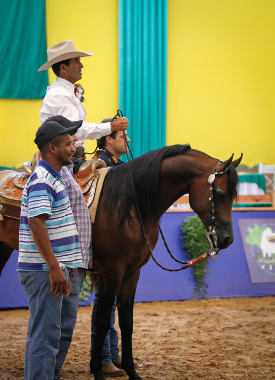 2013 Brazilian Nationals