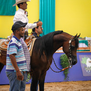 2013 Brazilian Nationals