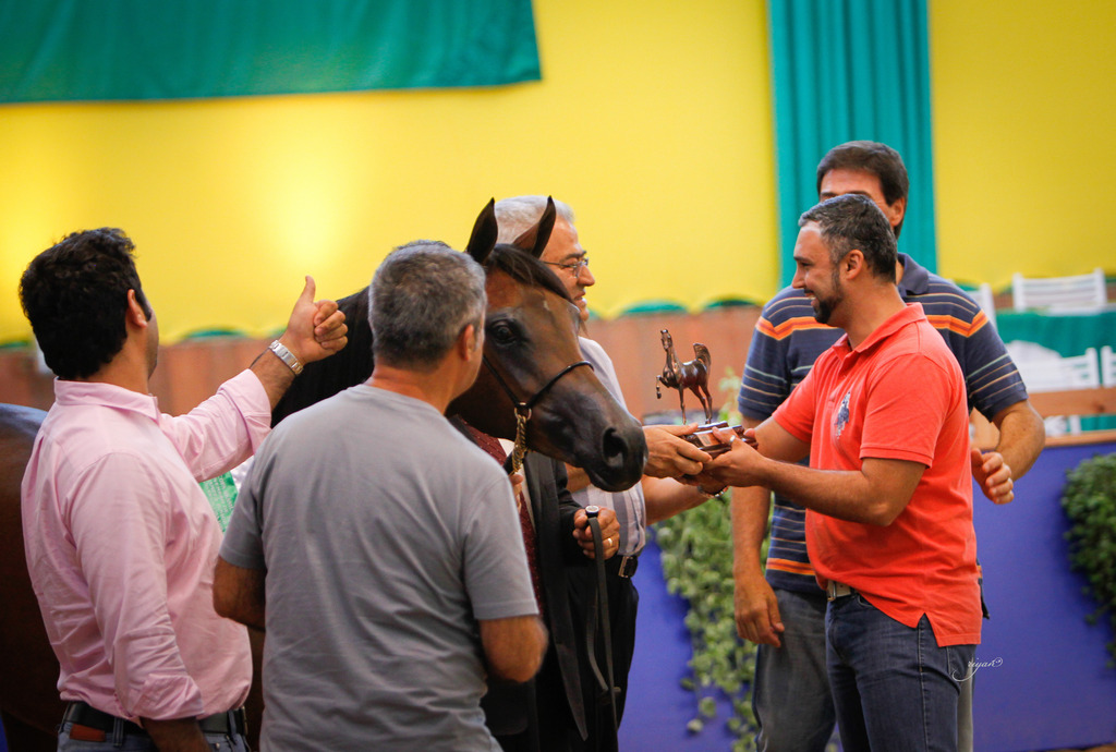 2013 Brazilian Nationals