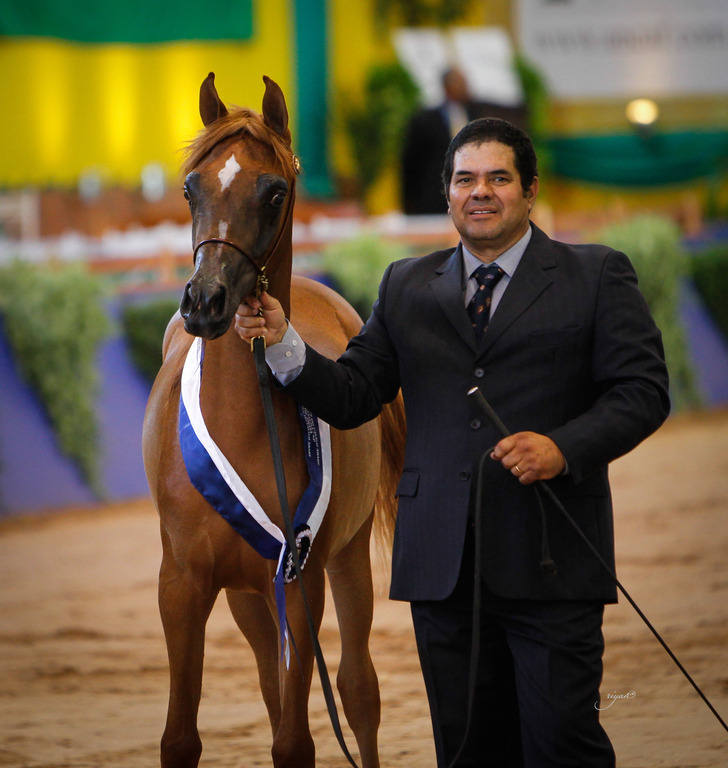 2013 Brazilian Nationals