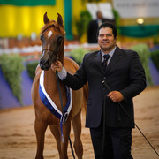 2013 Brazilian Nationals