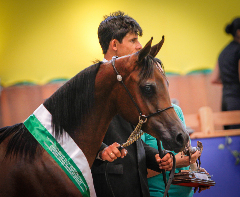 2013 Brazilian Nationals