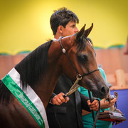 2013 Brazilian Nationals