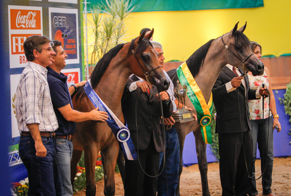 2013 Brazilian Nationals