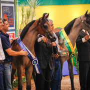 2013 Brazilian Nationals