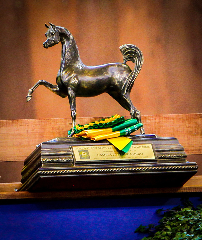 2013 Brazilian Nationals