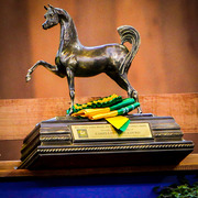 2013 Brazilian Nationals