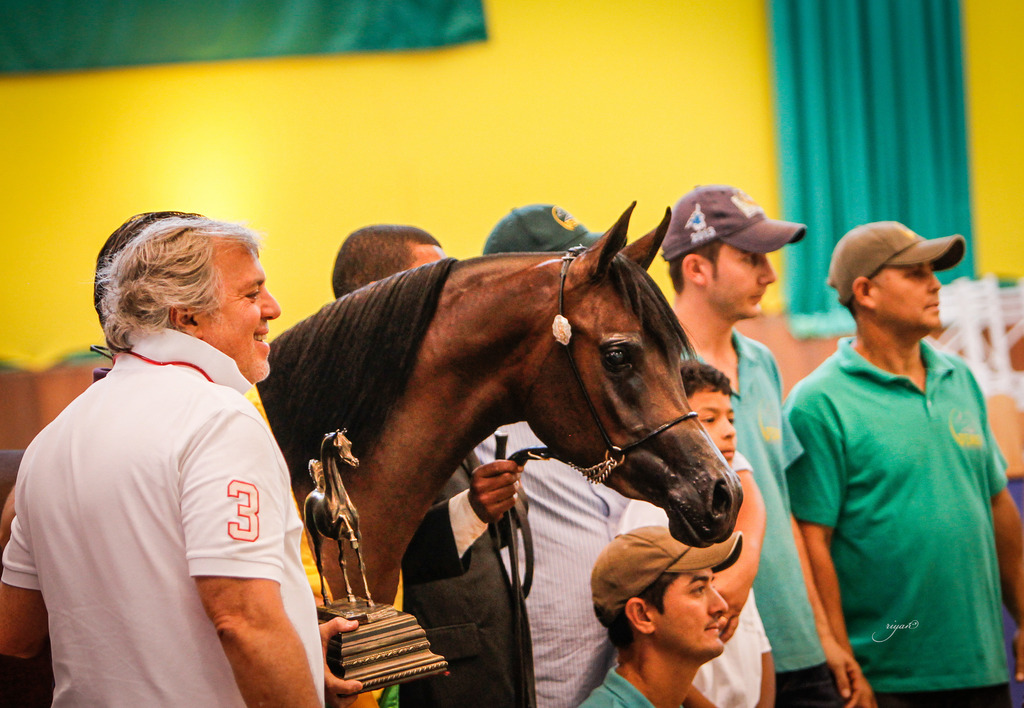 2013 Brazilian Nationals