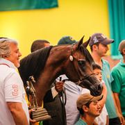 2013 Brazilian Nationals