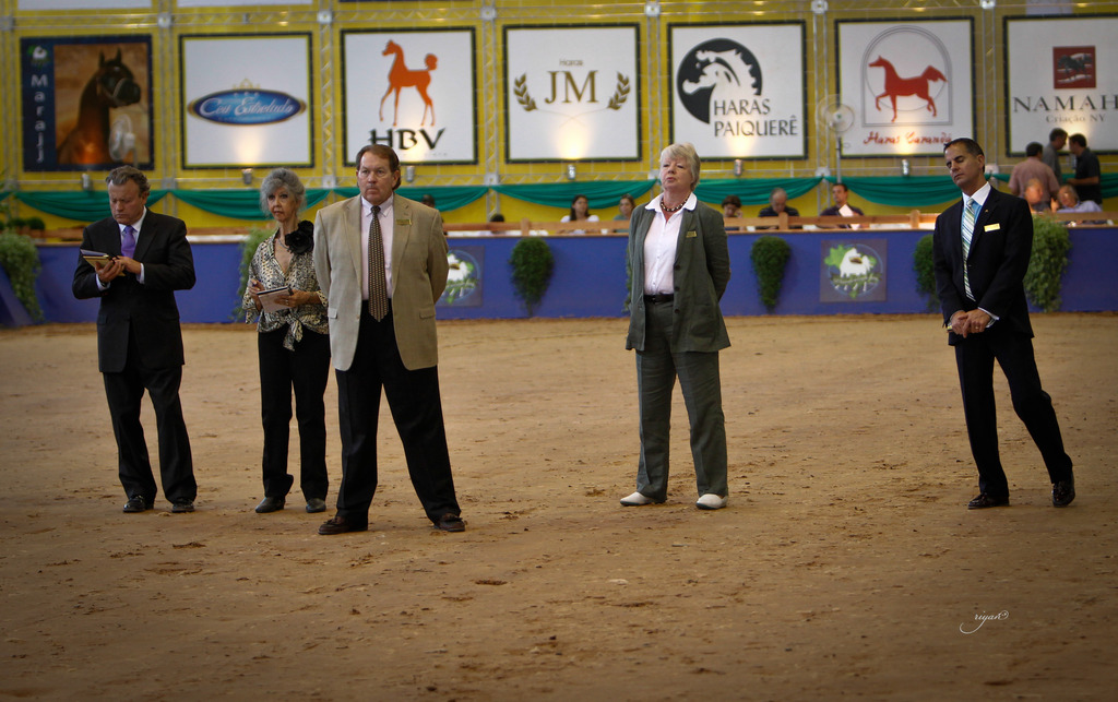 2013 Brazilian Nationals