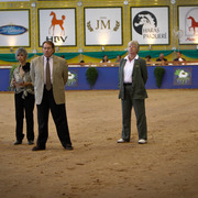 2013 Brazilian Nationals