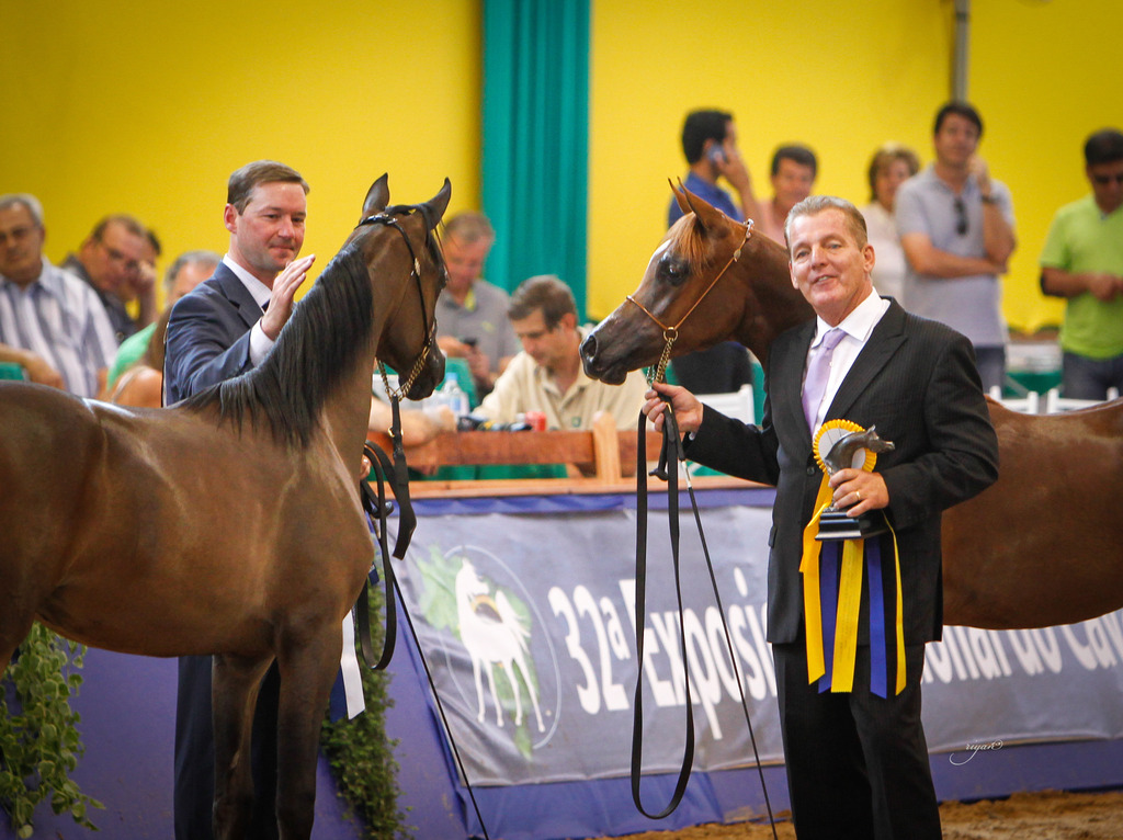 2013 Brazilian Nationals