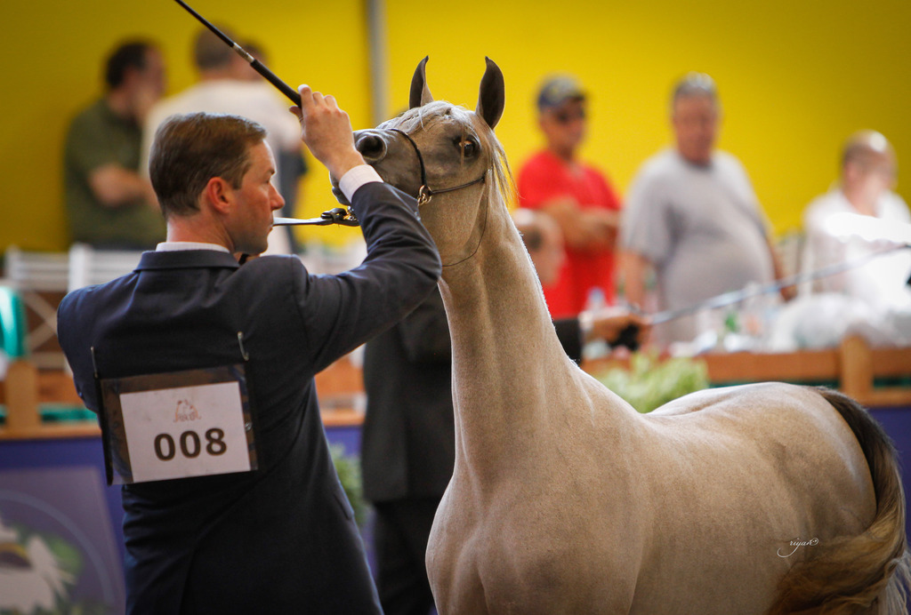 2013 Brazilian Nationals