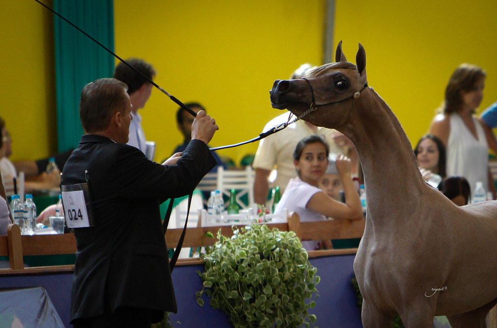 2013 Brazilian Nationals