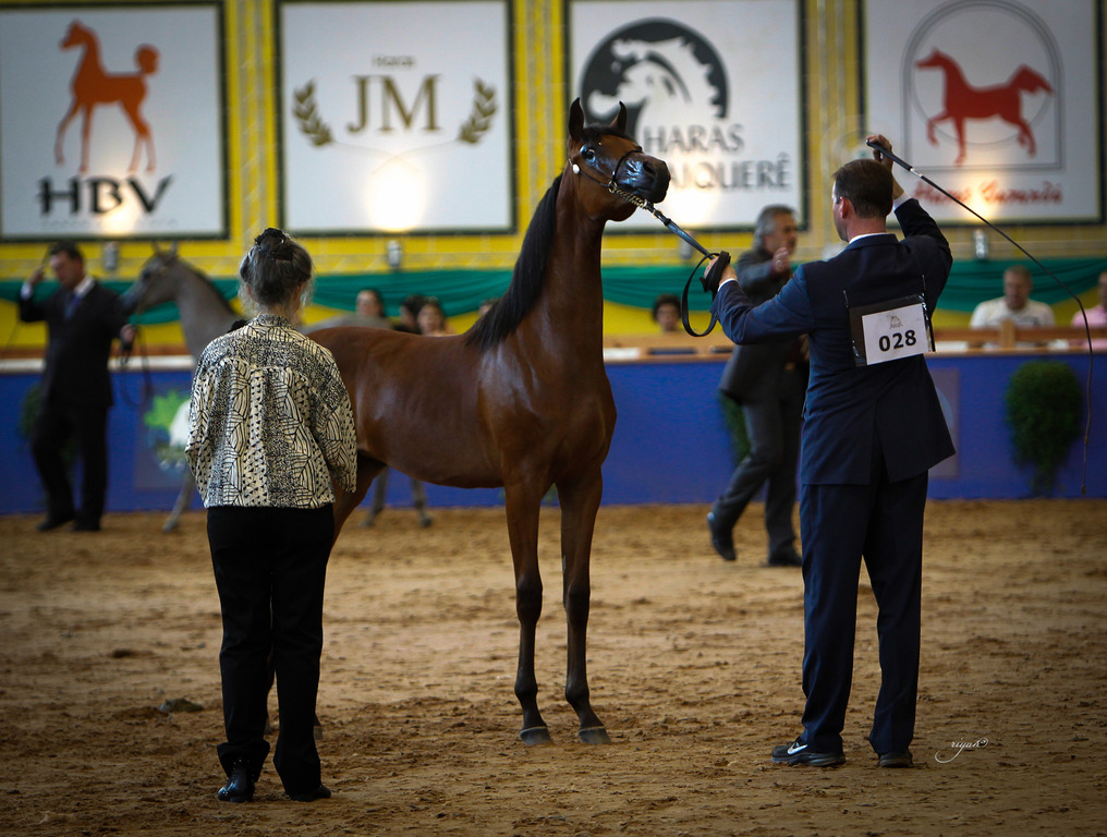 2013 Brazilian Nationals