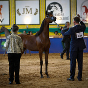 2013 Brazilian Nationals