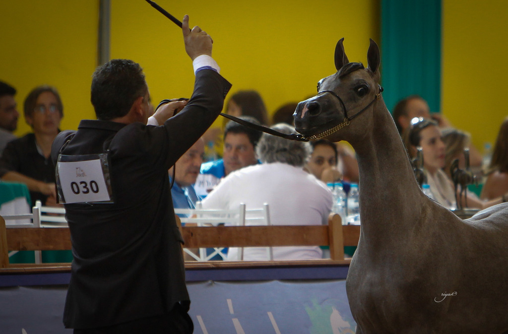 2013 Brazilian Nationals