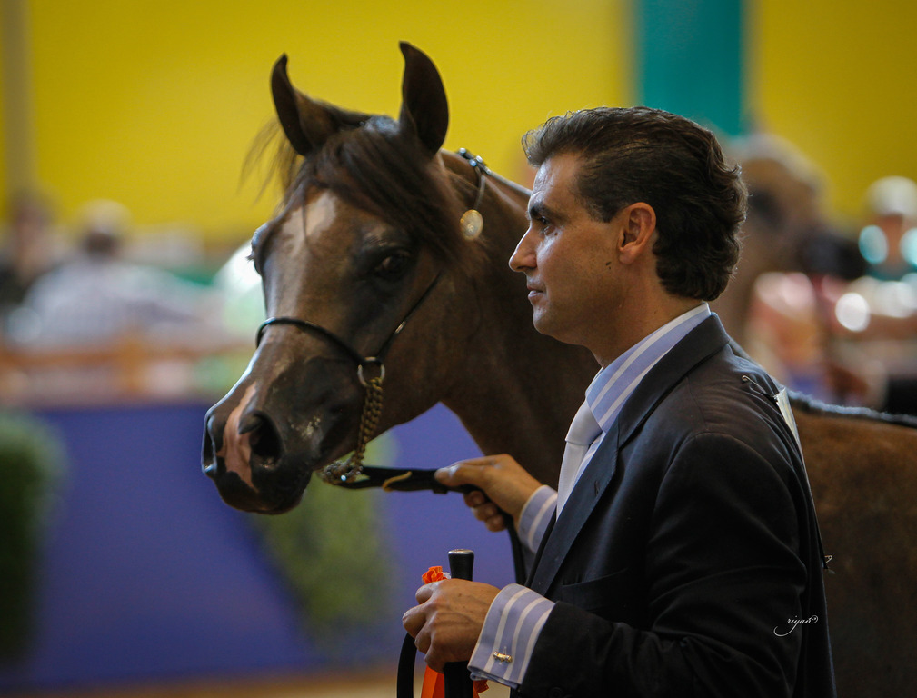 2013 Brazilian Nationals