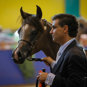 2013 Brazilian Nationals